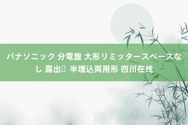 パナソニック 分電盤 大形リミッタースペースなし 露出・半埋込両用形 四川在线