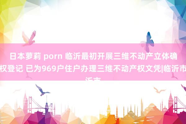 日本萝莉 porn 临沂最初开展三维不动产立体确权登记 已为969户住户办理三维不动产权文凭|临沂市