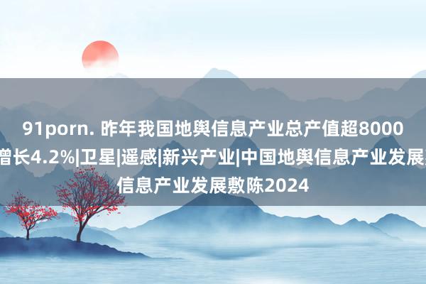 91porn. 昨年我国地舆信息产业总产值超8000亿，同比增长4.2%|卫星|遥感|新兴产业|中国地舆信息产业发展敷陈2024