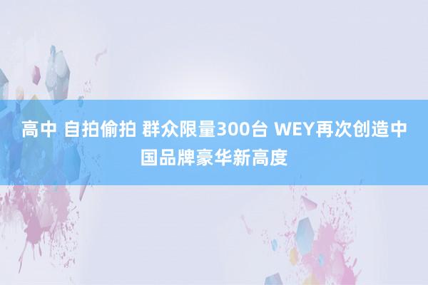 高中 自拍偷拍 群众限量300台 WEY再次创造中国品牌豪华